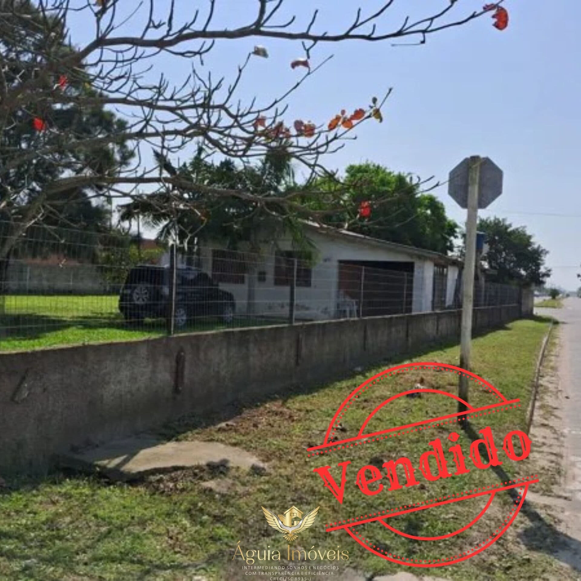 Oportunidade de investimento!