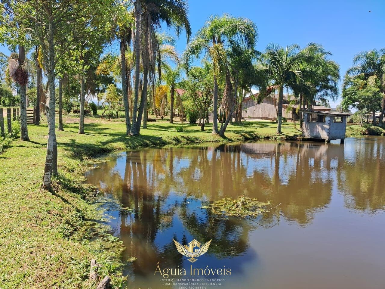 Lindo e aconchegante imóvel em área rural com árvores frutíferas, açudes, amplo quintal, hortaliças, e uma bela casa em alvenaria contendo: