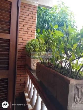 Casa com 4 dormitórios à venda, 249 m² por R$ 530.000,00 - Campos Elíseos - Ribeirão Preto/SP