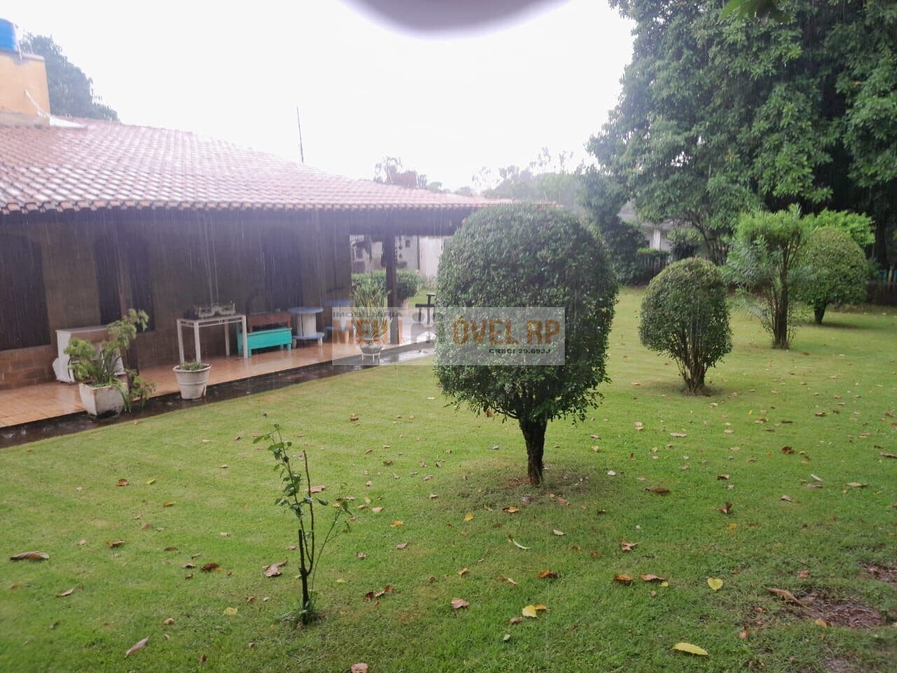 Fazenda/Sítios/Chácaras em Ribeirão Preto - Parque São Sebastião