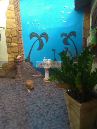 CASA COM SALÃO COMERCIAL RUA PRINCIPAL JD PRESIDENTE DUTRA II