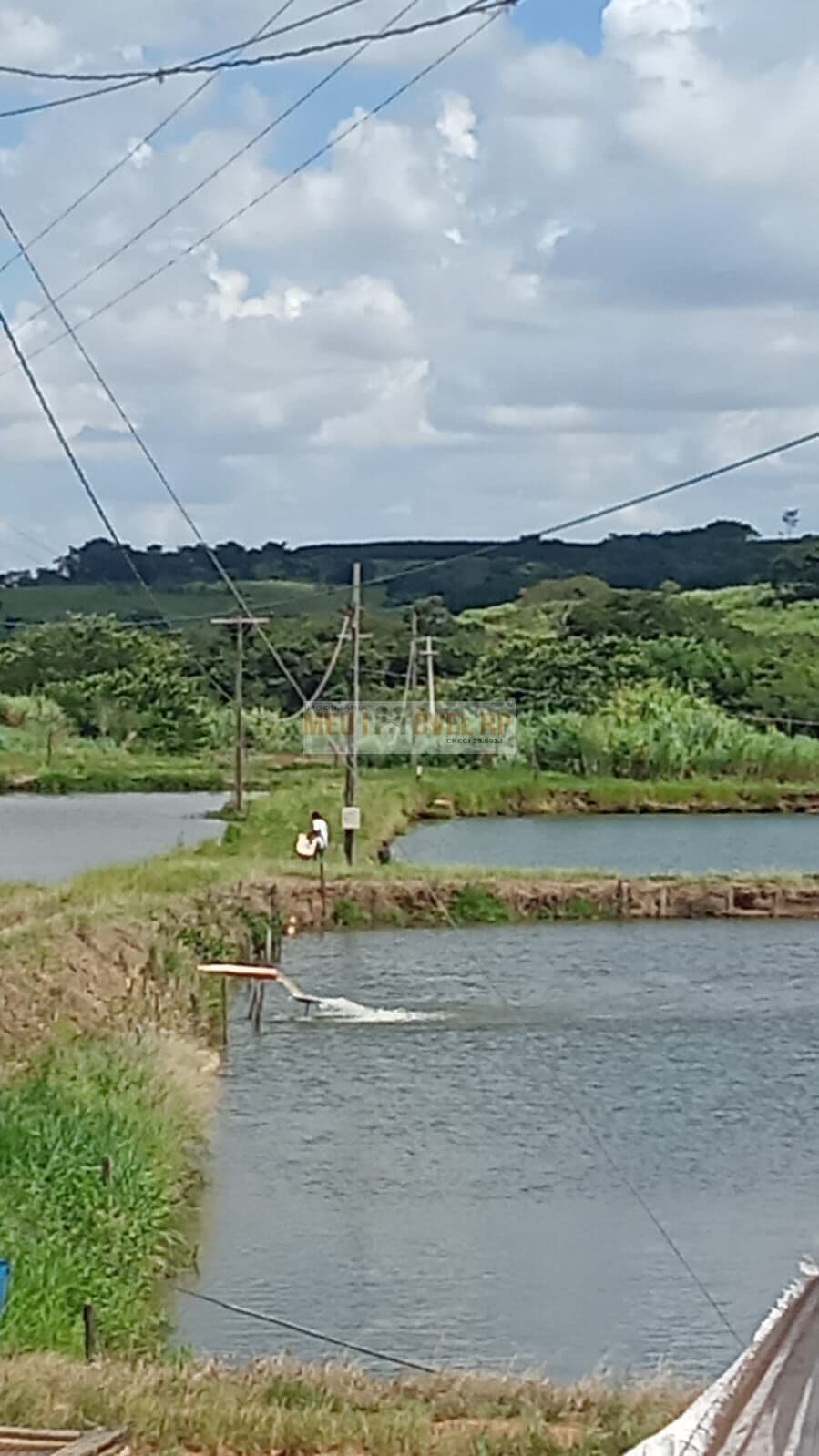 Fazenda/Sítios/Chácaras em Guaranésia - Centro