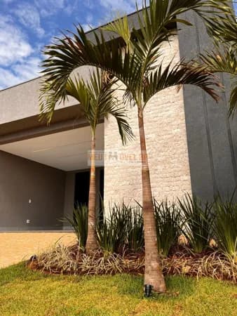 Casa de Condomínio em Ribeirão Preto - Bonfim Paulista