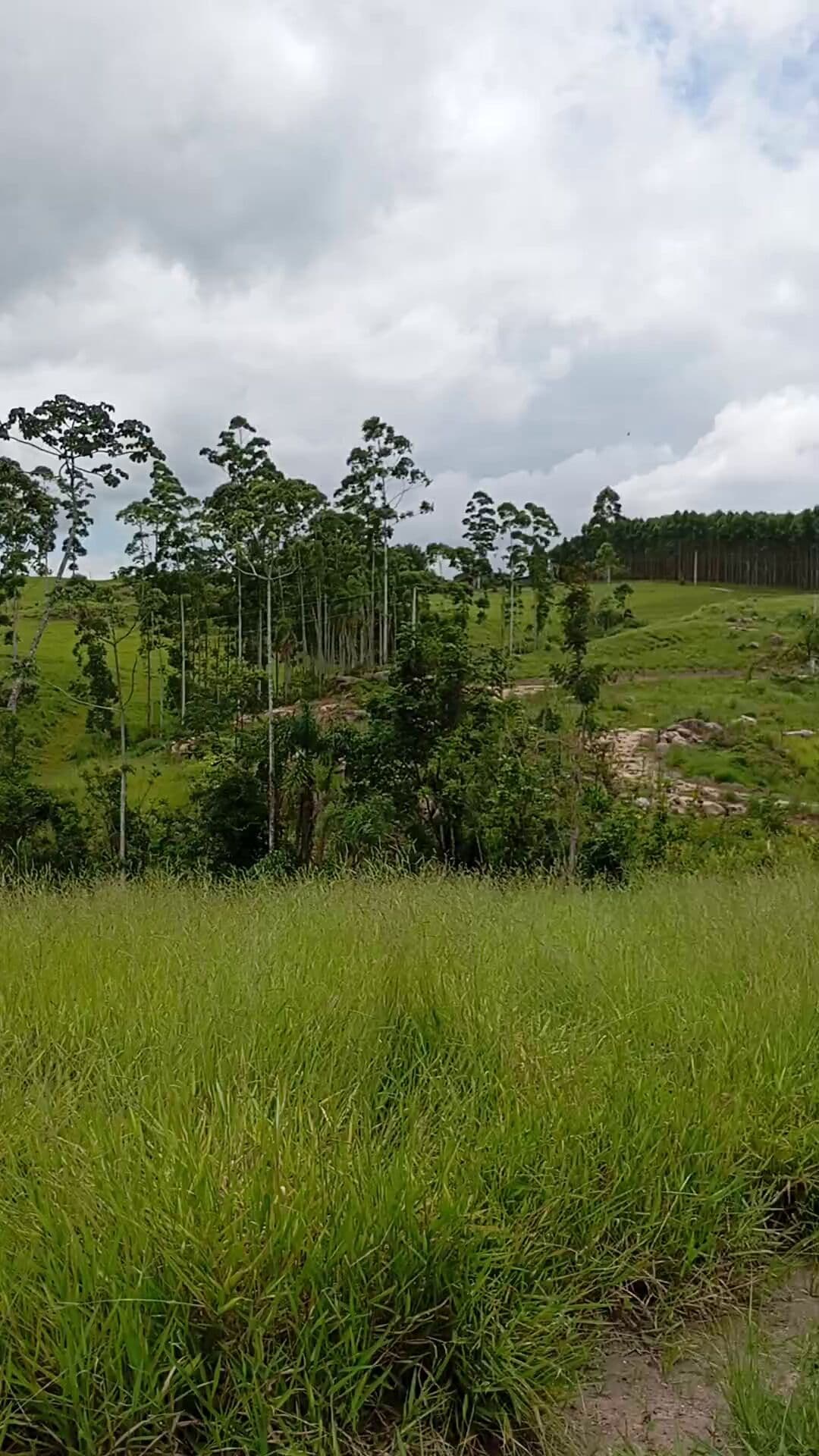 Sítio bairro Linha Mesquita, Treze de Maio/SC