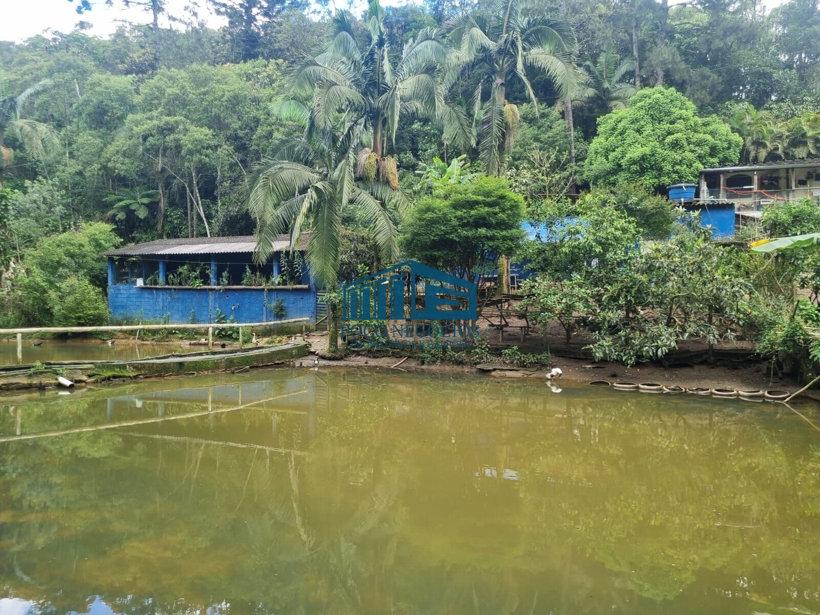 Fazenda/Sítios/Chácaras em Santo André - Jardim Joaquim Eugênio de Lima