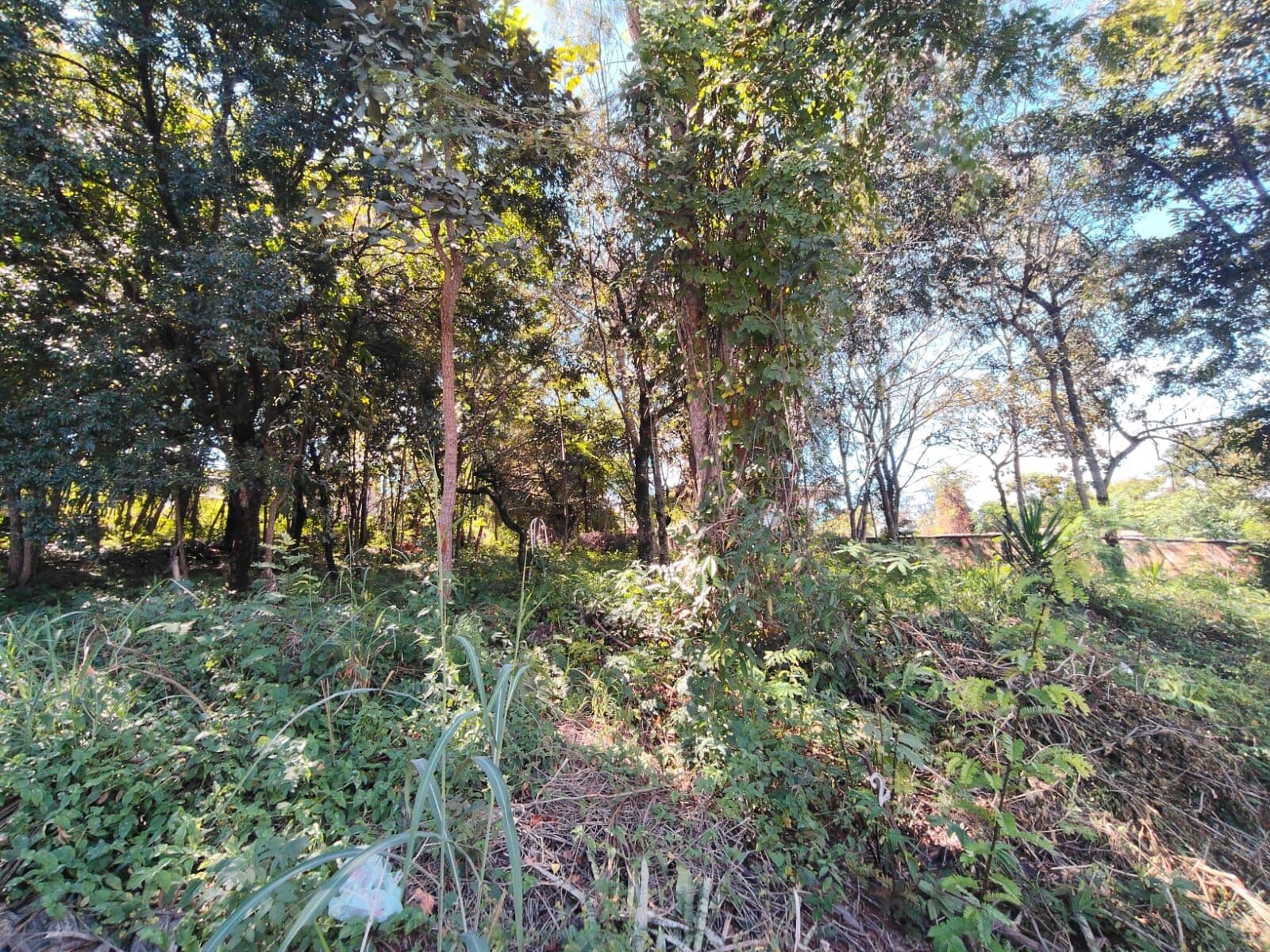 Lote de 1000m no Condomínio Represa Ville em Capim Branco