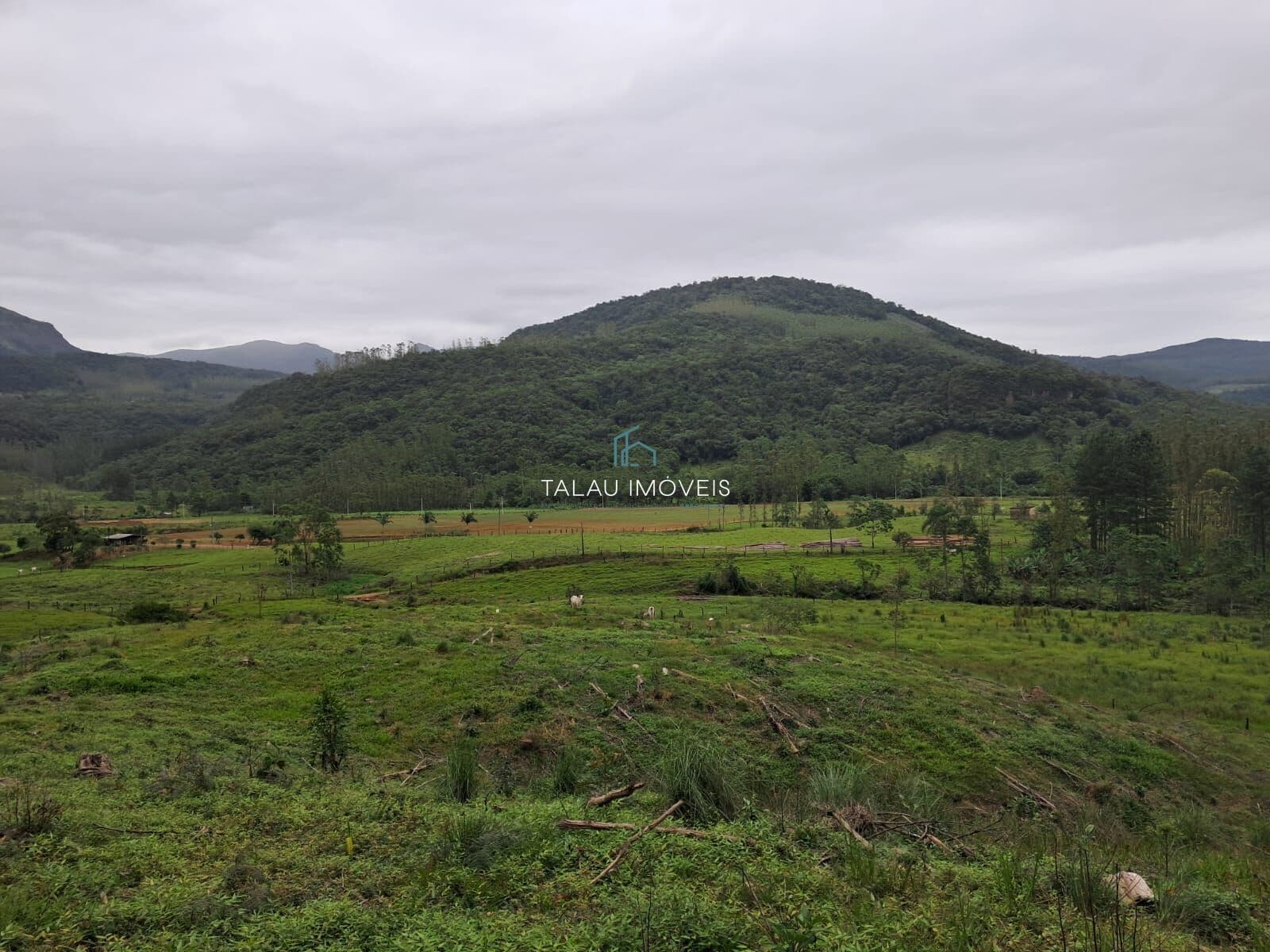 Oportunidade! 56 Hectares para você no Timbé Do Sul