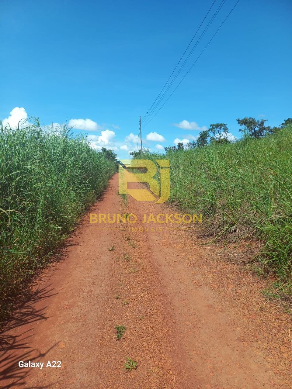 Fazenda/Sítios/Chácaras em Anápolis - Joanápolis
