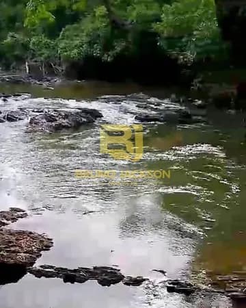 Fazenda/Sítios/Chácaras em Cocalzinho de Goiás - Centro