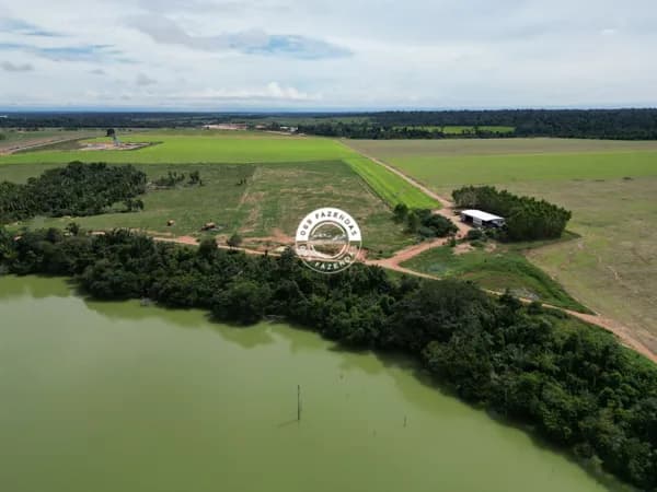 Fazenda de 112 alqueires disponível para venda