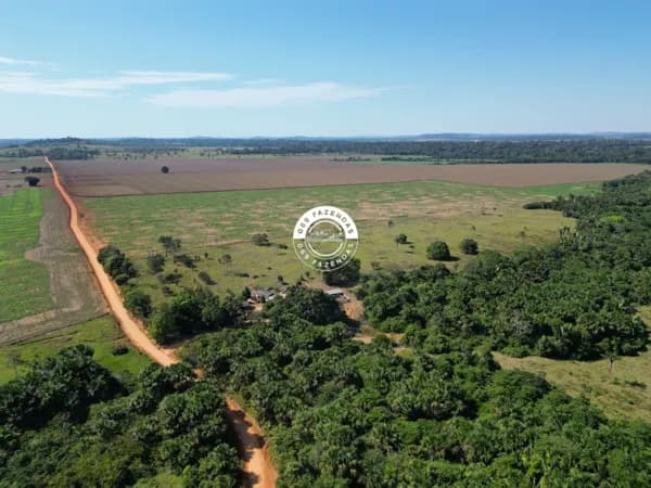 Fazendinha de 80 alqueires disponível em Ariquemes