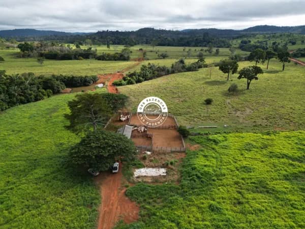 Fazendinha de 63 alqueires disponível em Ariquemes