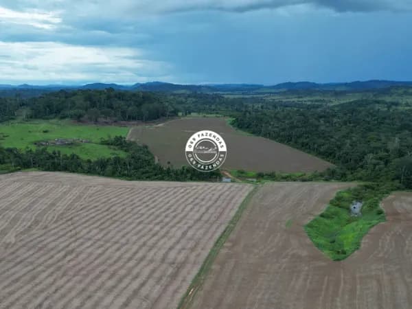 Fazenda de 93 alqueires disponível em Ariquemes