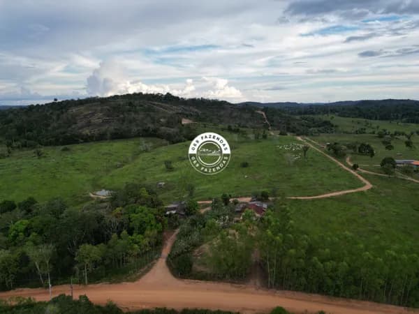 Sítio de 20 alqueires disponível em Ariquemes
