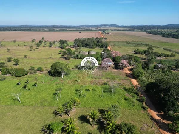 Sítio de 21 alqueires