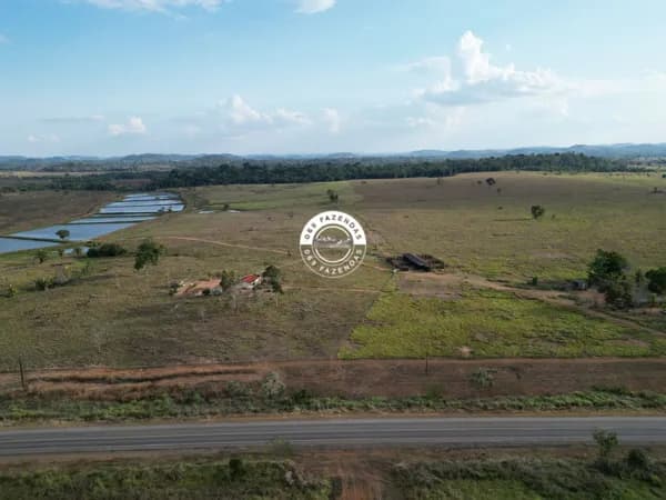 Fazenda de 104 alqueires disponível em Ariquemes