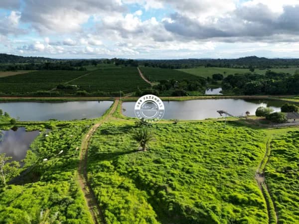 Sítio de 45 alqueires em Ariquemes