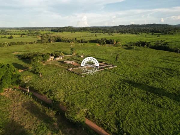 Sítio de 58 alqueires disponível na região de Ariquemes