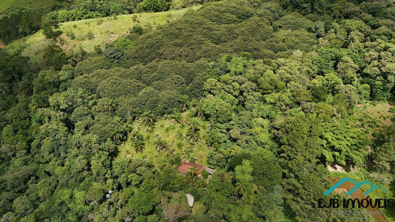 Sítio em Mostardas, Monte Alegre do Sul/SP