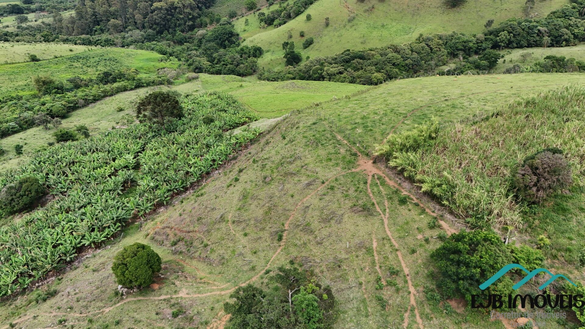 Fazenda/Sítios/Chácaras em Munhoz - Centro
