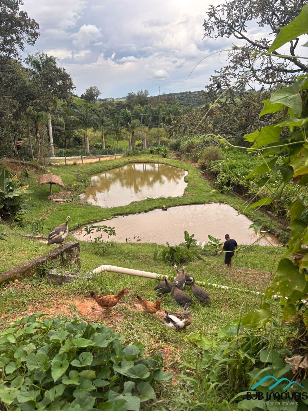 Chácara à venda – R$ 600.000