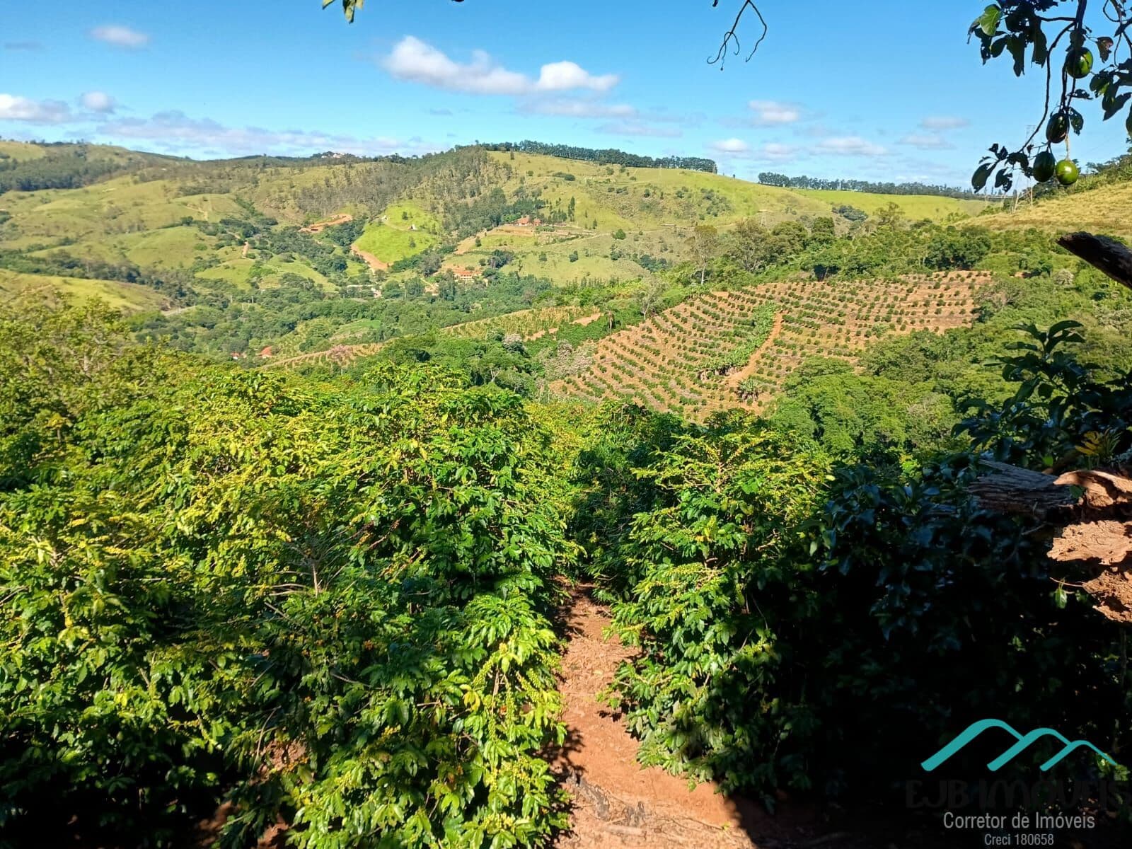 Fazenda/Sítios/Chácaras em Serra Negra - Centro