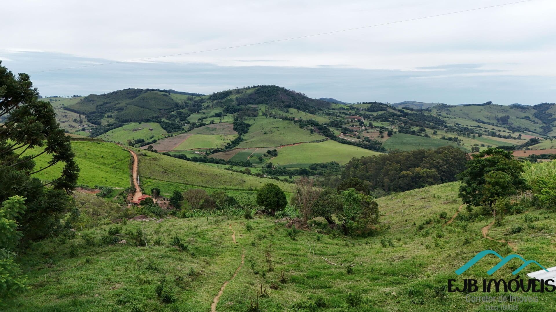 Fazenda/Sítios/Chácaras em Munhoz - Centro