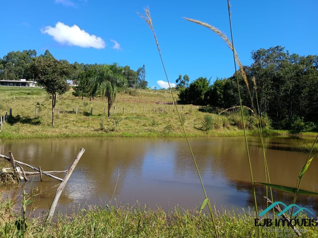 Sítio em Zona Rural, Amparo/SP