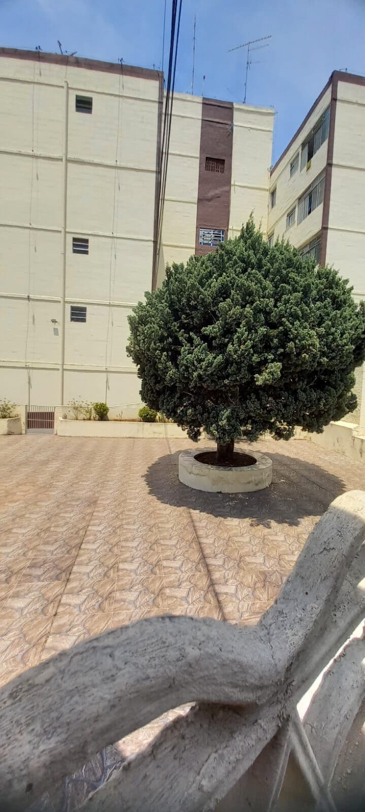 Apartamento em Conjunto Residencial José Bonifácio, São Paulo/SP