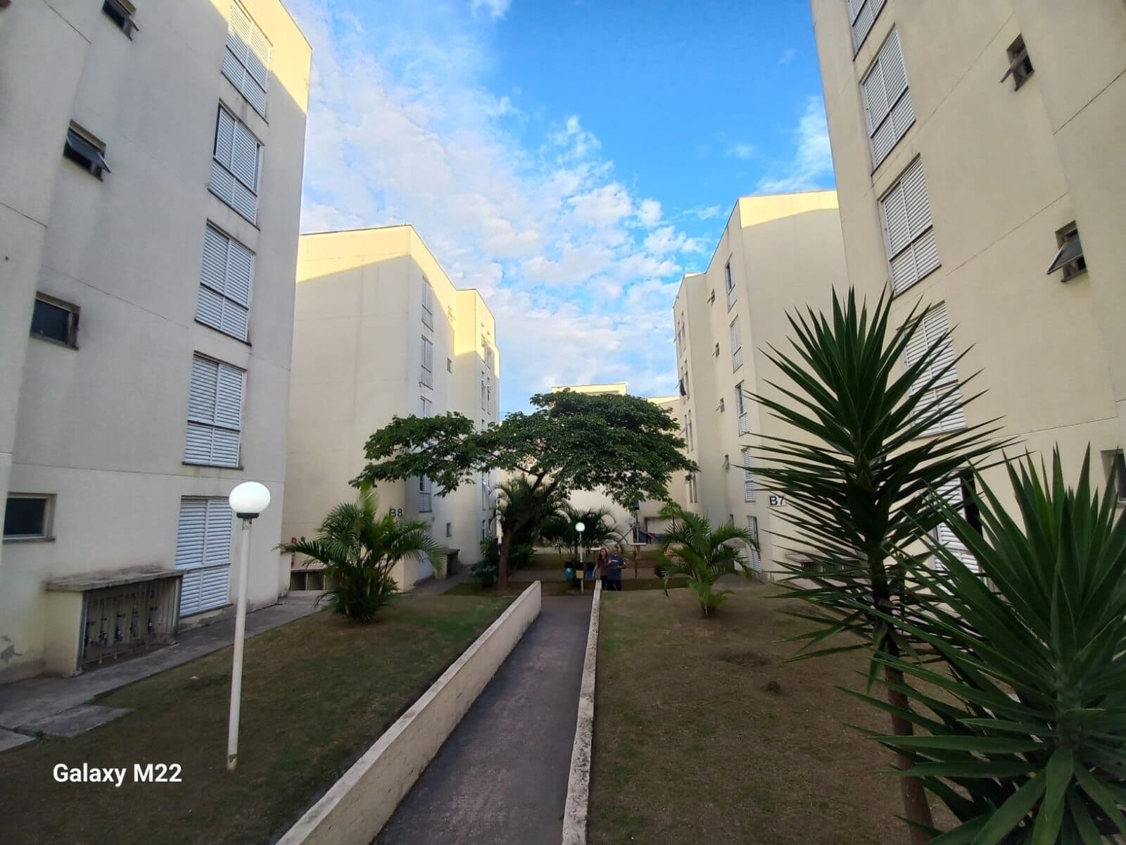 Apartamento em Conjunto Residencial José Bonifácio, São Paulo/SP