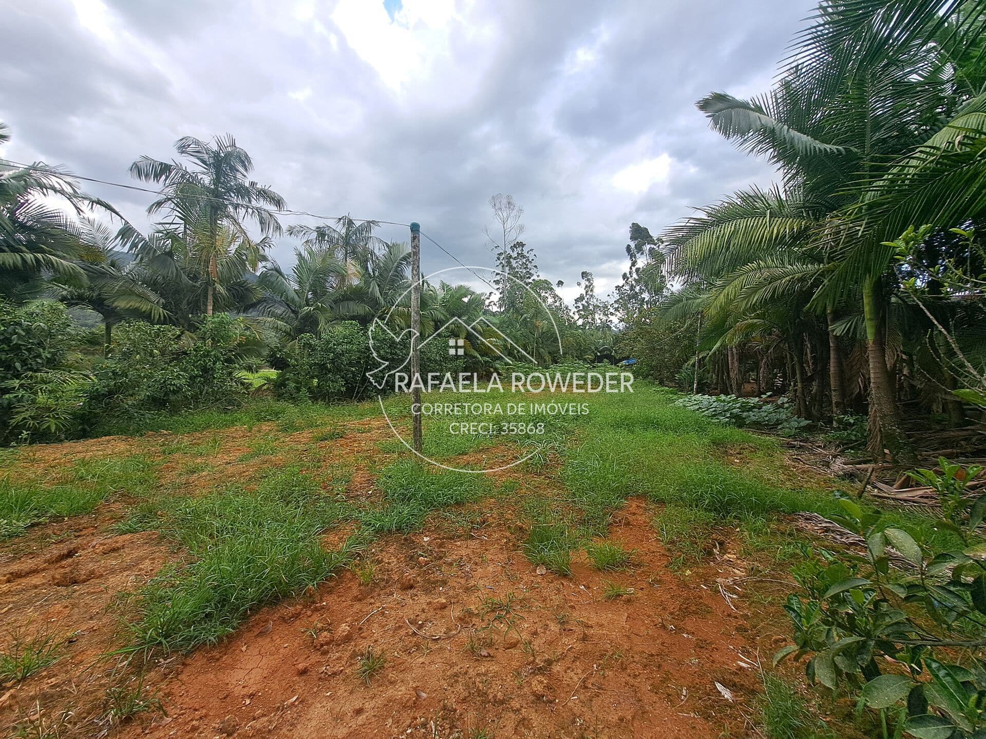 Fazenda/Sítios/Chácaras em Jaraguá do Sul - Rio da Luz