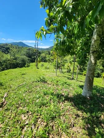 Fazenda/Sítios/Chácaras em Jaraguá do Sul - Garibaldi