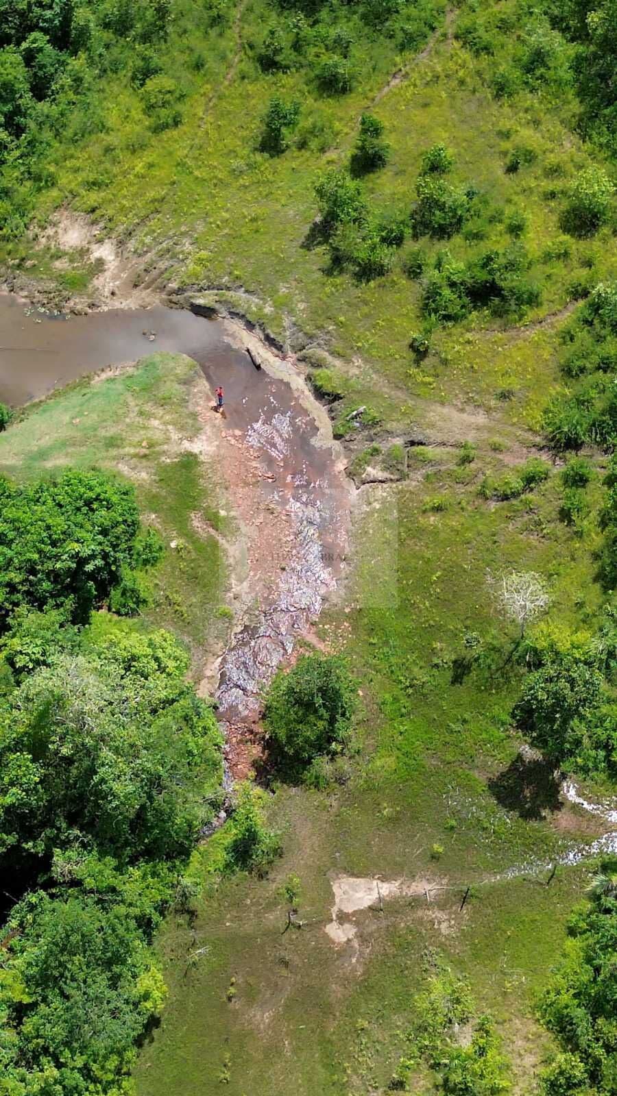Fazenda/Sítios/Chácaras em Montes Altos - Centro