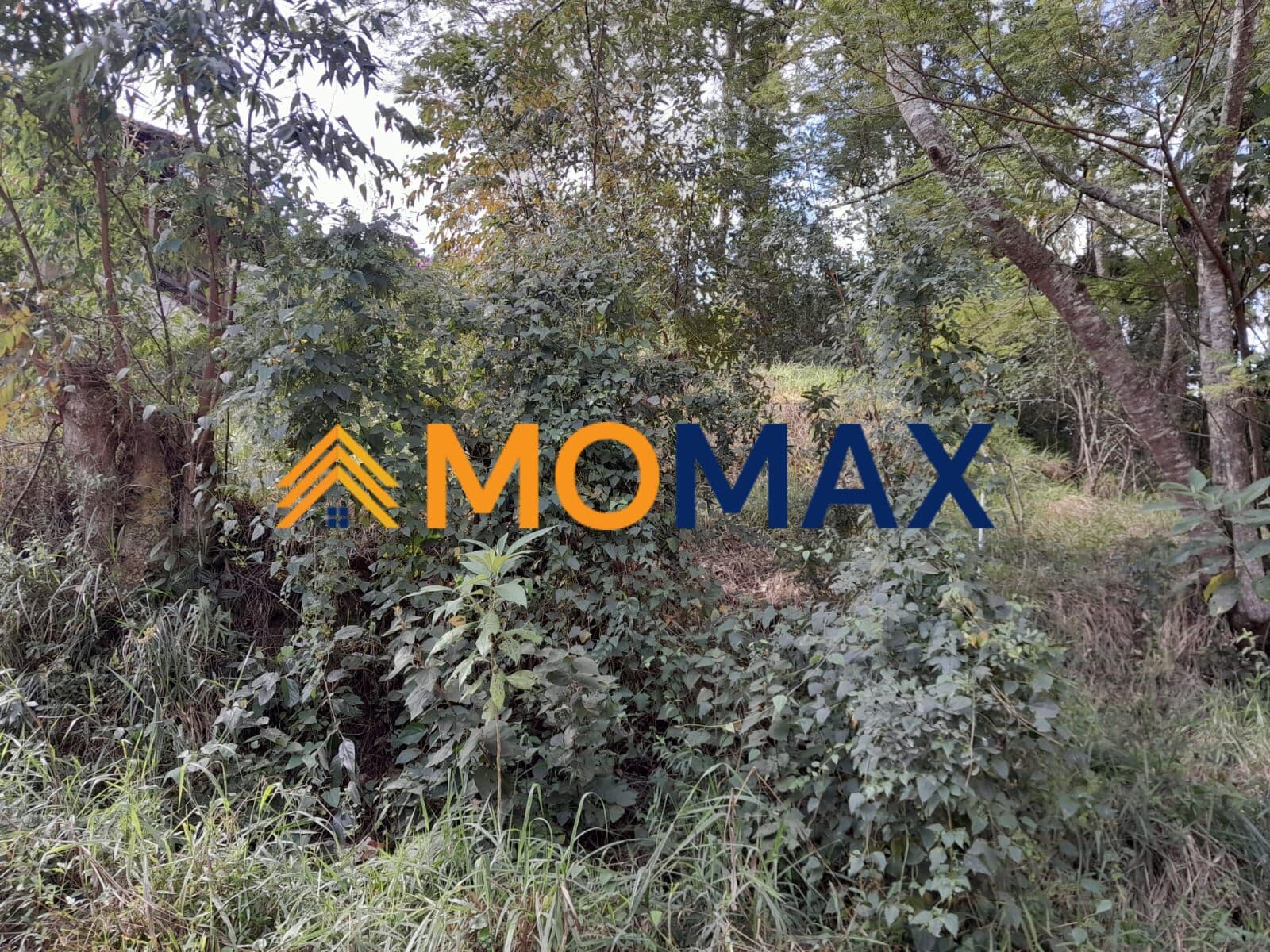 Lote/Terreno em São Roque - do Carmo (Canguera)