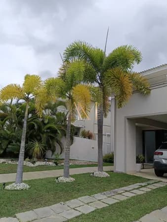 Linda casa para locação no Alphaville Litoral Norte 1