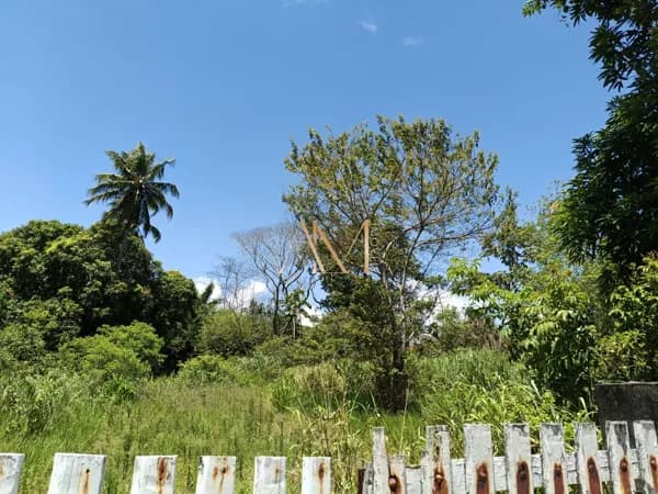 Lote/Terreno em Camaçari - Barra do Jacuípe (Monte Gordo)