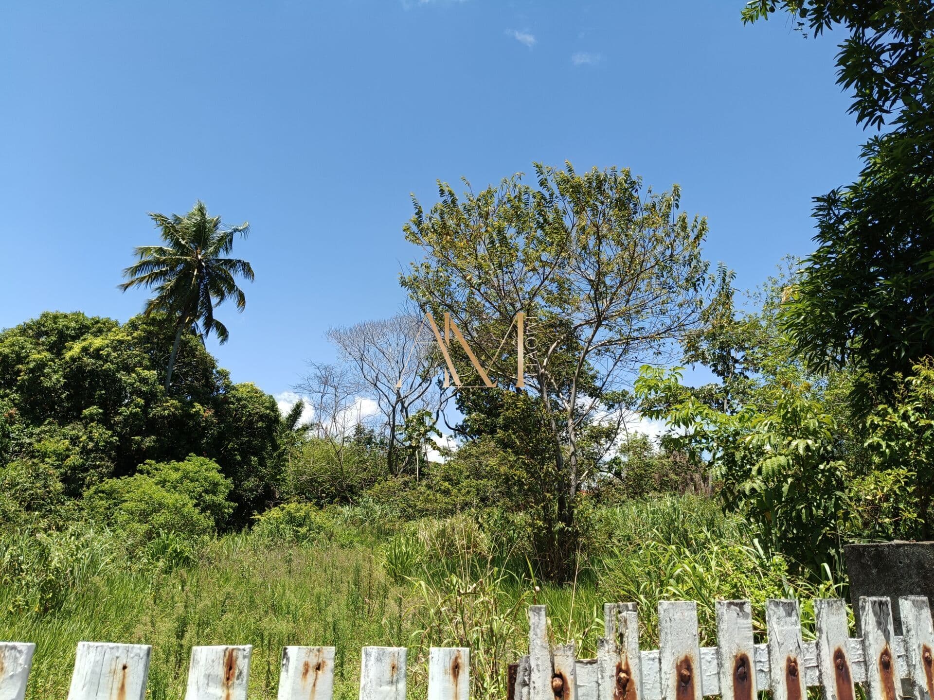 Lote/Terreno em Camaçari - Barra do Jacuípe (Monte Gordo)