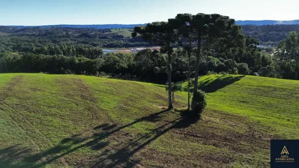 Chácara em Balsa Nova prox. a Bizinelli