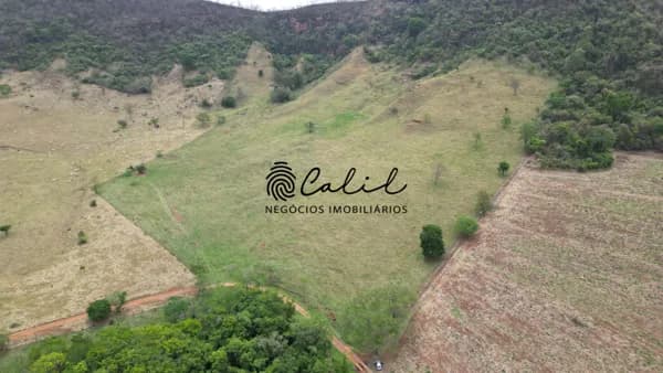 Sítio para pecuária com 14,37 hectares à venda por R$ 1.200.000,00 em Santo Antônio da Alegria/SP