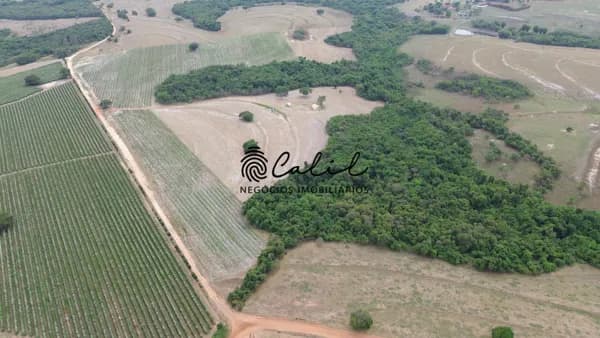 Sítio com café irrigado com 23,67 hectares à venda por R$ 4.000.000,00 em Santo Antônio da Alegria/SP