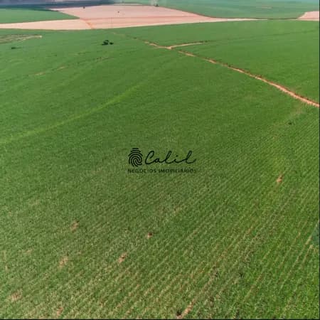 Fazenda com 955,9 hectares em cana, já arrendada à venda por R$ 65.000.000,00 - Torrinha/SP