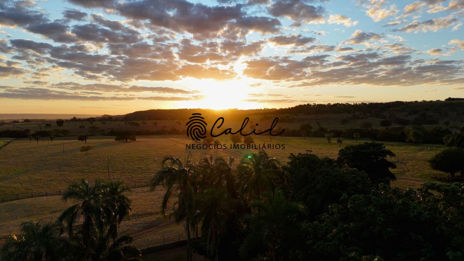 Fazenda 1300 hectares para gado e cana-de-açúcar à venda por R$ 135.000.000,00 - Cachoeira Alta - Goiás
