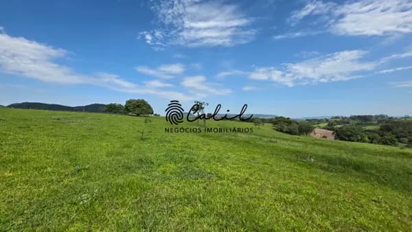 EXCLUSIVIDADE - Fazenda para agricultura e pecuária com 58ha à venda por R$ 5.700.000,00 - Santo Antônio da Alegria/SP