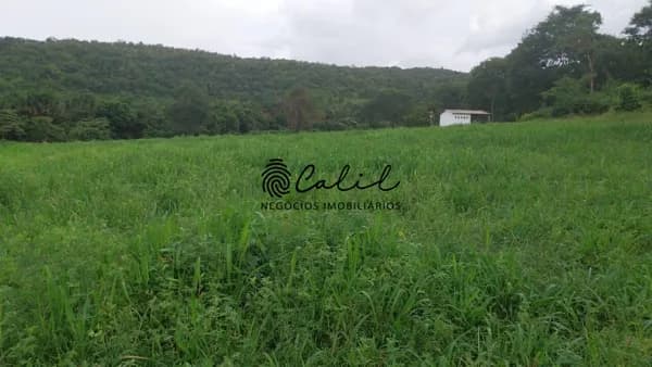 Fazenda com casa sede, casas de caseiro, 703,80 hectares à venda por R$ 20.360.000,00 - Porto Nacional/TO