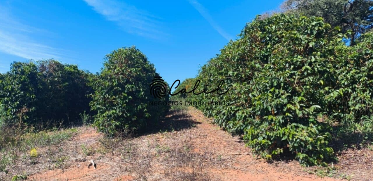 Fazenda com 550.000 pés de café à venda por R$ 32.000.000,00 - Guaxupé/MG