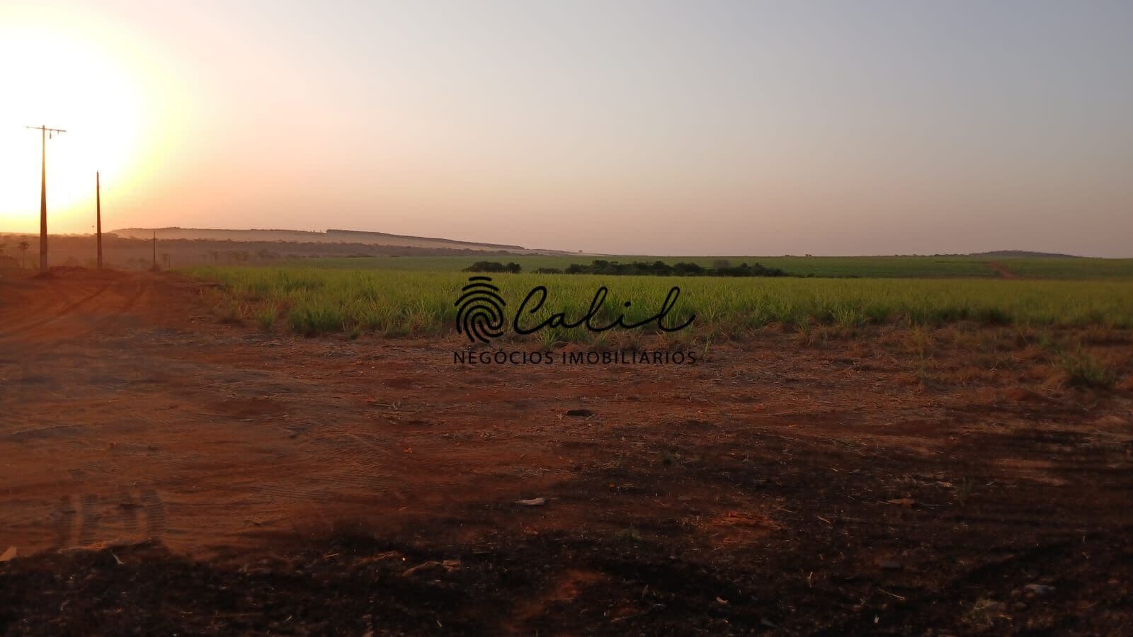 Fazenda com 197,5 ha à venda por R$ 27.000.000,00 - Campo Florido/MG