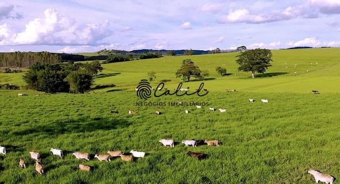 Fazenda com 4 dormitórios à venda, 58,08ha por R$ 7.210.000,00 - Marília - Marília/SP
