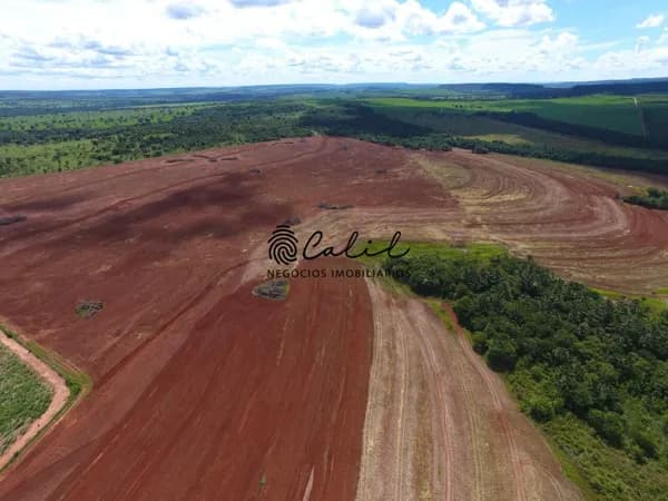 Fazenda de 270 hectares à venda em Prata - MG