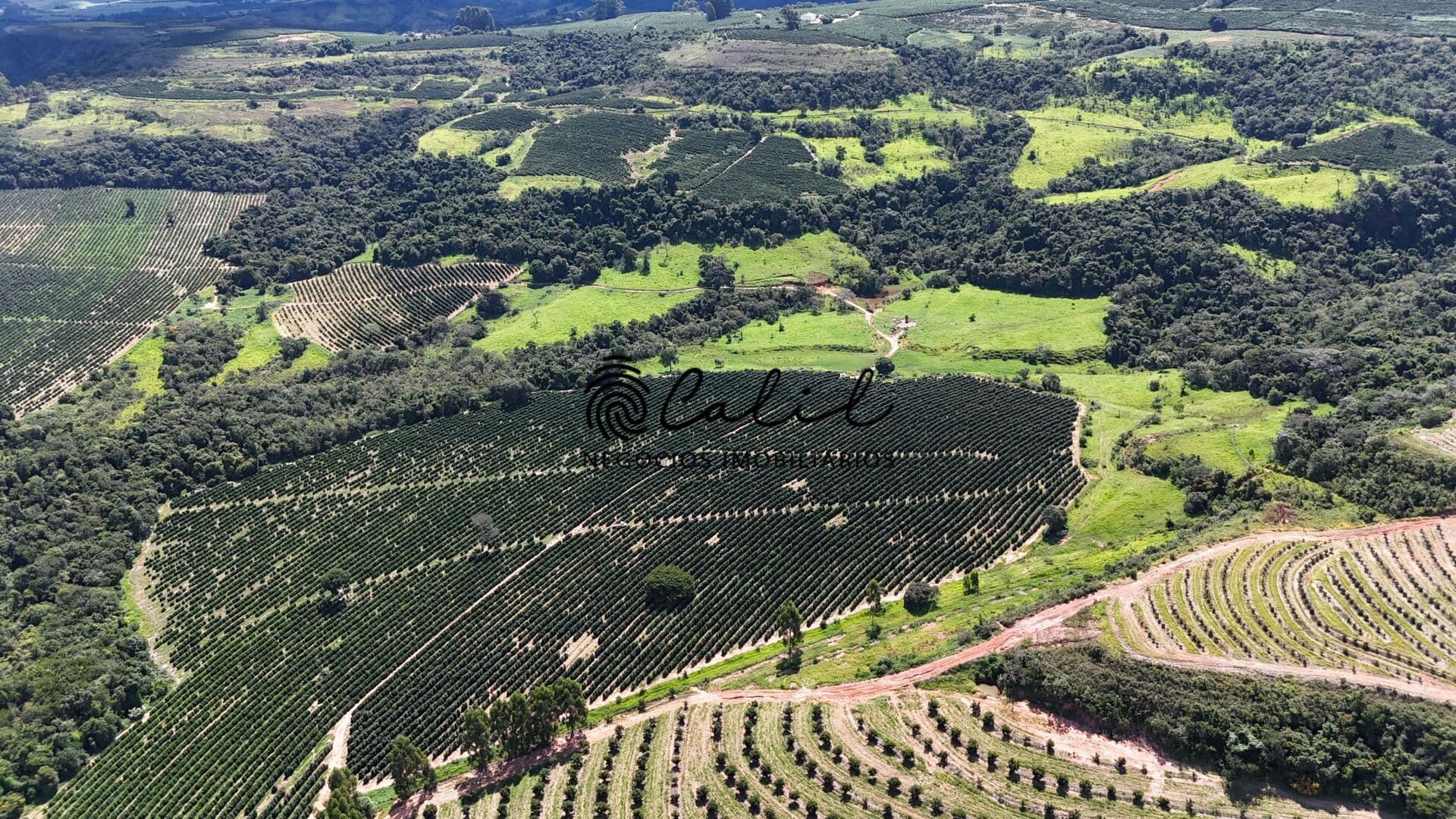 Fazenda de café com 126,32 hectares à venda por R$ 12.000.000,00 - Monte Santo de Minas/MG