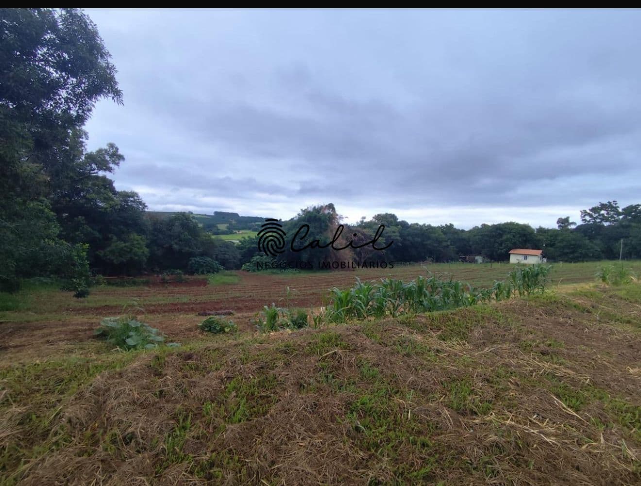 Sítio para lazer e agricultura com 8000 pés de café, 34.000m² à venda por R$ 900.000,00 - São Sebastião do Paraíso/MG